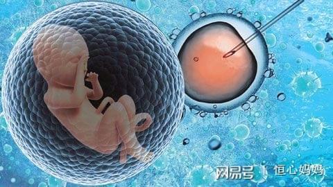 靠谱拉拉借卵咨询